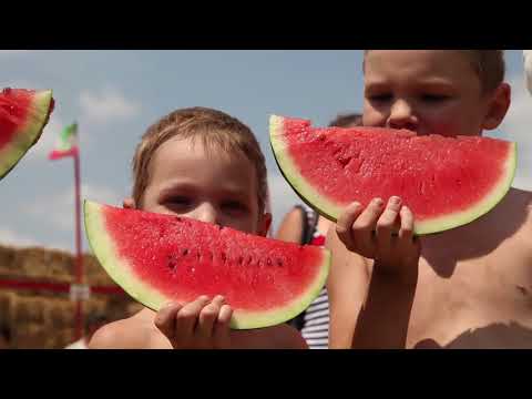 Видео: Открытие бахчи Пономарёвых 01 07 18