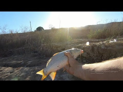 Видео: МУТНЫЙ КАНАЛ, САРДОБА