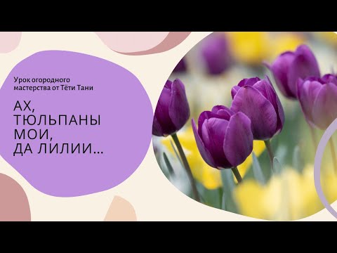 Видео: 802. Ах тюльпаны  мои, да лилии...