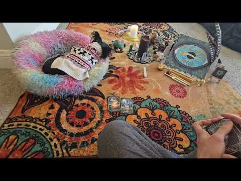 Видео: Попадание в ловушку правовой системы