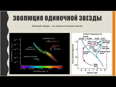 Видео: Эволюция звезд.