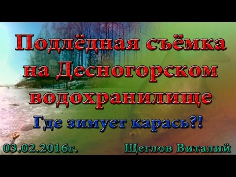 Видео: Подлёдная съёмка на Десногорском водохранилище. Где зимует карась?! 03.02.2016г