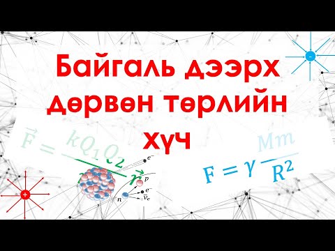 Видео: Үндсэн дөрвөн төрлийн хүч / Undsen durvun turliin huch