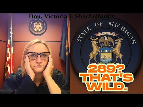 Видео: Судья Виктория Шакелфорд зачитывает ответчику закон о борьбе с беспорядками в связи с аварией с с...