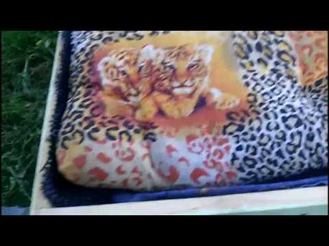 Видео: Дедовский способ борьбы с клещом!!!Приготовления-Раздача-Результат!!!