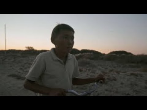 Видео: Казахстанский фильм «Бауырына салу» номинирован на премию «Оскар»