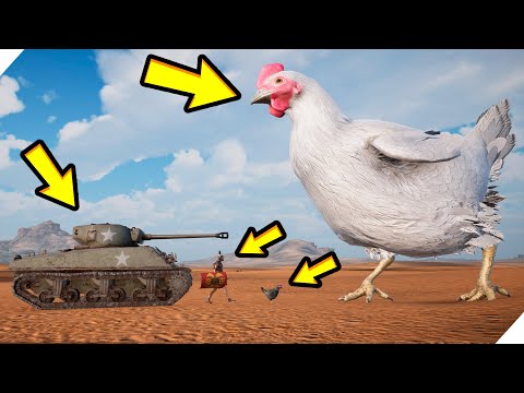 Видео: АТАКА БЕШЕНЫХ КУРЕЙ