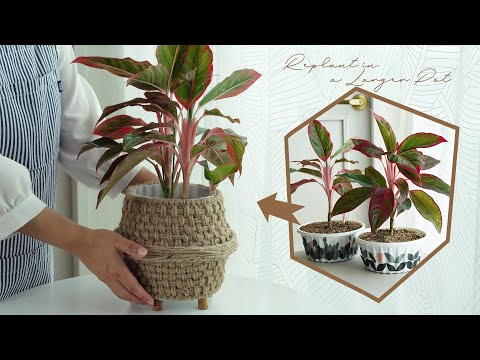 Видео: Выкройка для проверки джутовой нити DIY, Установки для очистки воздуха, Вторичная переработка