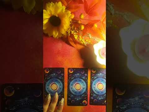 Видео: Белый кот. Таро-Ленорман. в прямом эфире!