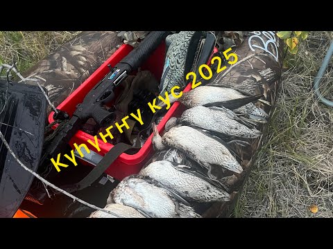 Видео: Осенняя охота на уток сезон 2025 #охота #якутия 