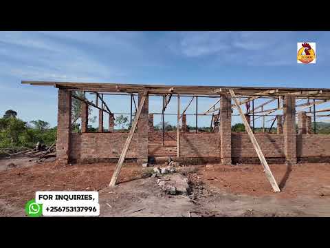 Видео: КАК ПОСТРОИТЬ КУРИНЫЙ ПТИЧНИК С ГЛУБОКОЙ ПОДСТИЛКОЙ ДЛЯ КУР-НЕСУШЕК - БОЛЬШОЙ ДЛЯ 2500 НЕСУШЕК!! ...