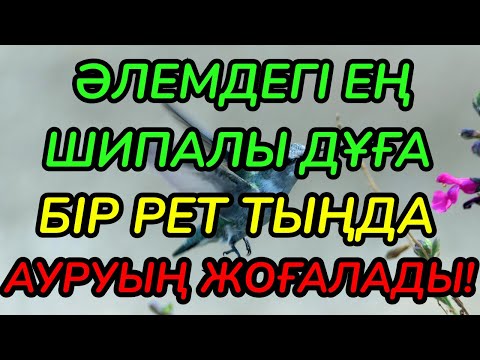 Видео: САУЫҒУДЫҢ КІЛТІ! ✨ Бір рет тыңдау жеткілікті – денең сау болып, жаның тынышталады!