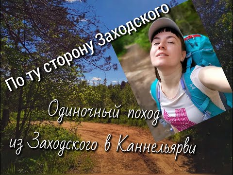 Видео: По ту сторону Заходского. Прогулка от Заходского до Каннельярви.