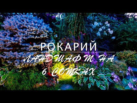 Видео: РОКАРИЙ на 6 сотках /  Это НАДО ЗНАТЬ!