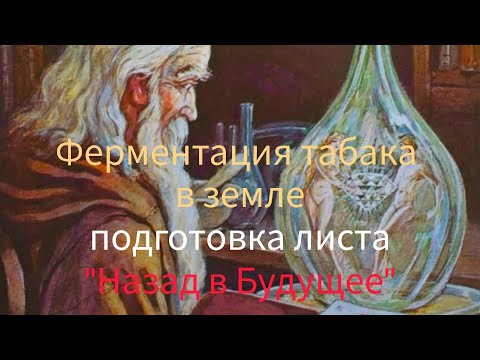 Видео: 10 вересня 2025 р.