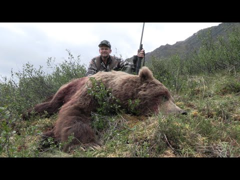 Видео: Потенциальный мировой рекорд охоты на гризли