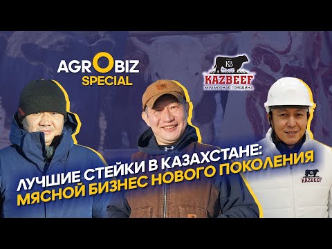 Видео: Бизнес на мясе в Казахстане: как разводят, откармливают КРС и делают лучшие стейки KazBeef | ElDala