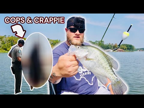 Видео: ЕГО АРЕСТОВАЛИ 😱 2 ГОРЯЧИХ МЕСТА ДЛЯ ЛОВЛИ КРАППИ ОСЕНЬЮ, КОТОРЫЕ КРАППИ ОБОЖАЮТ‼️