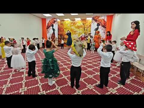 Видео: Садик 59