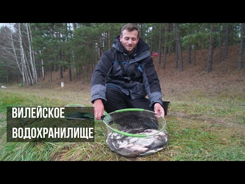 Видео: 12 КГ РЫБЫ! Рыбалка на фидер - Вилейское водохранилище