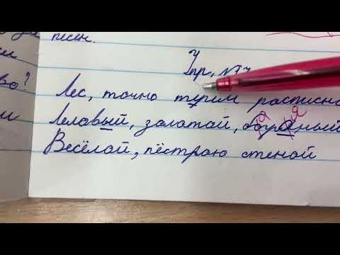 Видео: 🖍📕 Проверка тетрадей. Ошибки