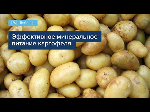 Видео: ВЕБИНАР "«ЭФФЕКТИВНОЕ МИНЕРАЛЬНОЕ ПИТАНИЕ КАРТОФЕЛЯ ОТ А ДО Я»"