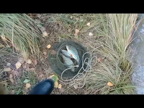 Видео: Рефтинское водохранилище . На расширении старого канала и снова холодный канал . 18  - 19 сентября .