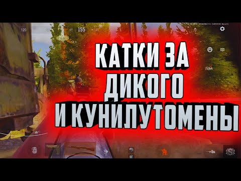 Видео: КАТКИ ЗА ДИКОГО И КУНИЛУТОМЕНЫ В  ARENA BREAKOUT!