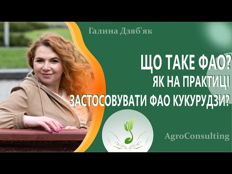 Видео: Що таке ФАО? Як на практиці застосовувати ФАО  кукурудзи? #ГалинаДзябяк