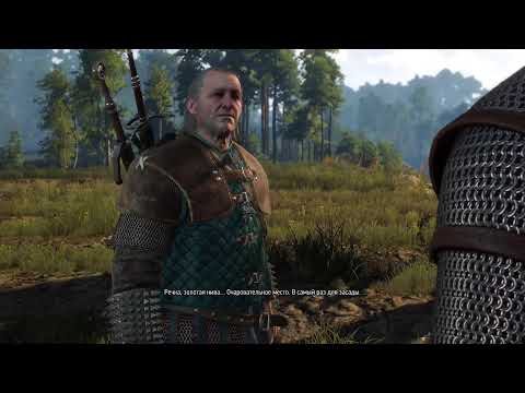 Видео: Witcher 3 Ведьмак 3 прохождение