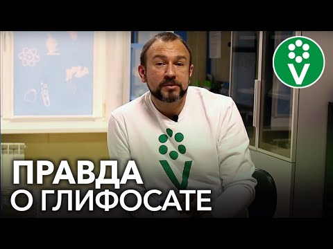 Видео: РАУНДАП: панацея от сорняков или смертельный яд? Мнение опытного биолога