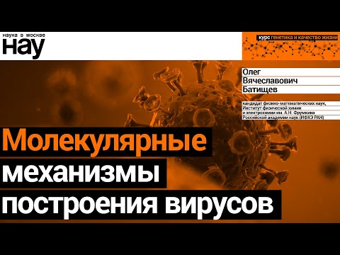 Видео: «Молекулярные механизмы построения вирусов». Спикер: Батищев  Олег Вячеславович