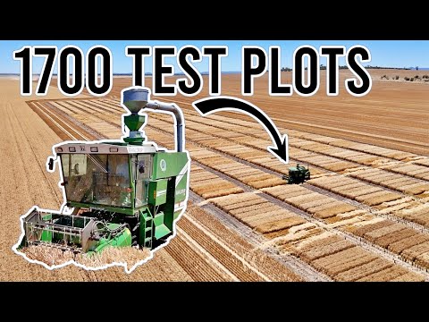Видео: Что это за машина? | Harvest 2025, эпизод 10 | Видеоблог 438