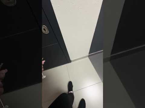 Видео: 6 ноября 2025 г.