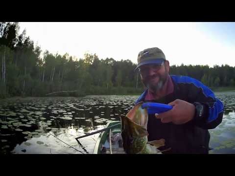 Видео: ЩУКА на ПОППЕР в кувшинках .  А что так можно было ?....