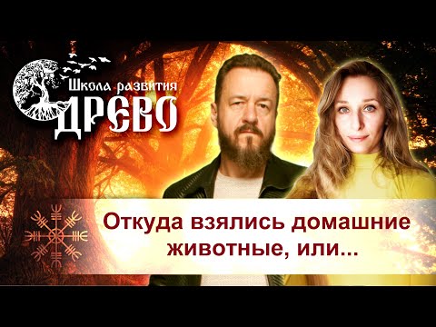 Видео: Откуда взялись домашние животные, или