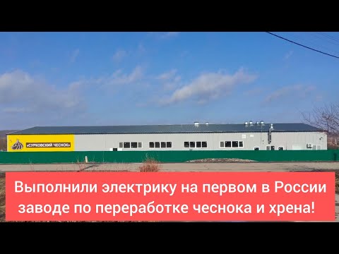 Видео: Обзор завода по переработке хрена и чеснока .