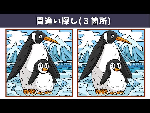 Видео: Найдите 3 отличия | Иллюстрация Версия #1216