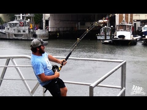 Видео: В Форт-Лодердейле пойман еще один гигантский групер весом 400 фунтов