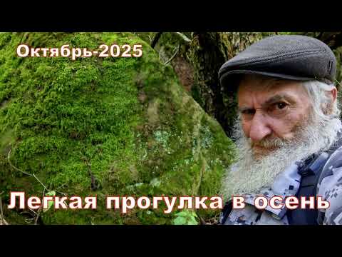 Видео: ПРОСТО ЛЕГКАЯ ПРОГУЛКА