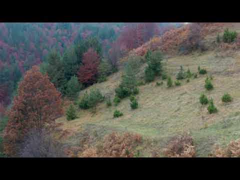 Видео: с  Планинско