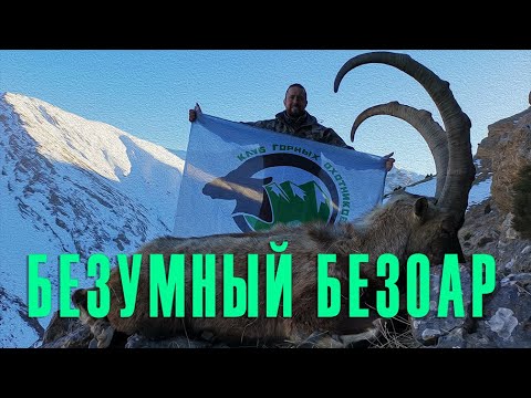 Видео: Mad Bezoar/ Безумный безоар