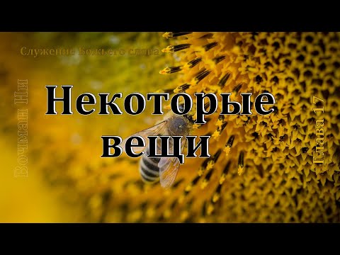 Видео: "Некоторые вещи на которые следует обращать внимание во время говорения" Вочман Ни