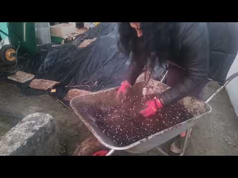 Видео: Почва за разсадите - Деси Владовска