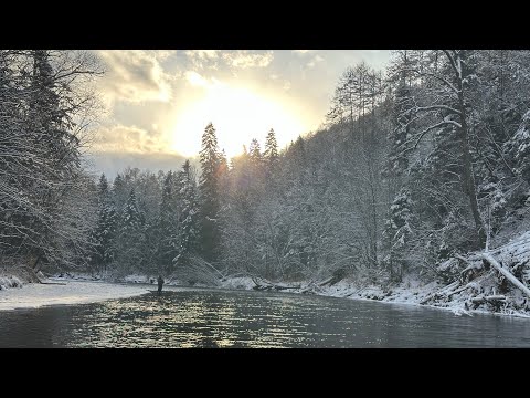 Видео: Река замерзает, рыба ловится. Рыбалка поздней осенью на горной реке Дальнего Востока