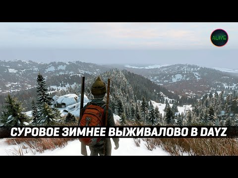 Видео: СУРОВОЕ ЗИМНЕЕ ВЫЖИВАЛОВО В DAYZ