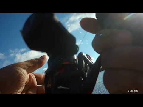 Видео: Осень. Пруд. Вода. Щучка