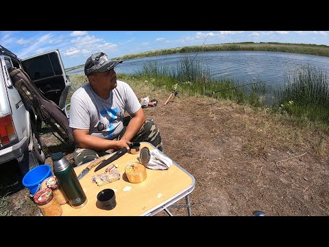 Видео: Поменяли место и начали ловить. Рыбалка на карася