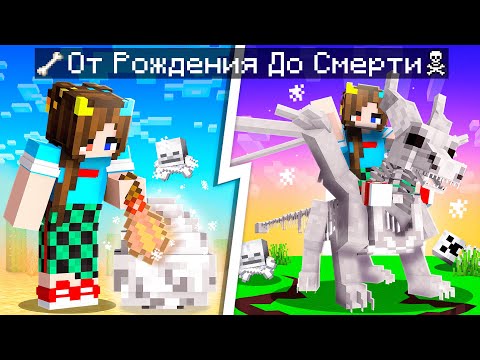 Видео: 😨 Майнкрафт но ЖИЗНЬ КОСТЯНОГО ДРАКОНА от Рождения До Смерти!