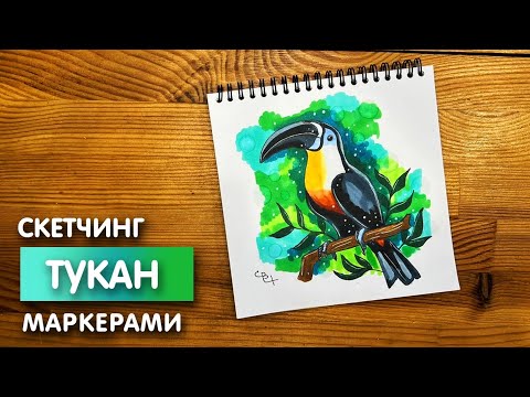 Видео: Рисунок скетч маркерами "Тукан" для скетчбука | Срисовка картинки для начинающих